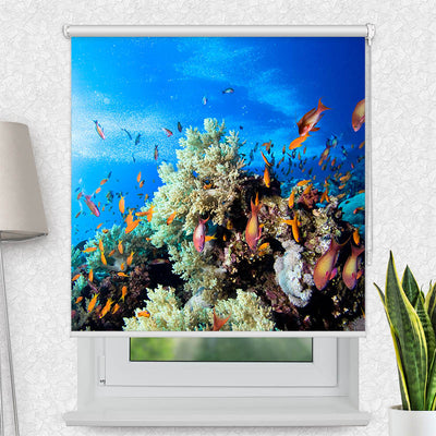 Fotorollo Korallen und Fische