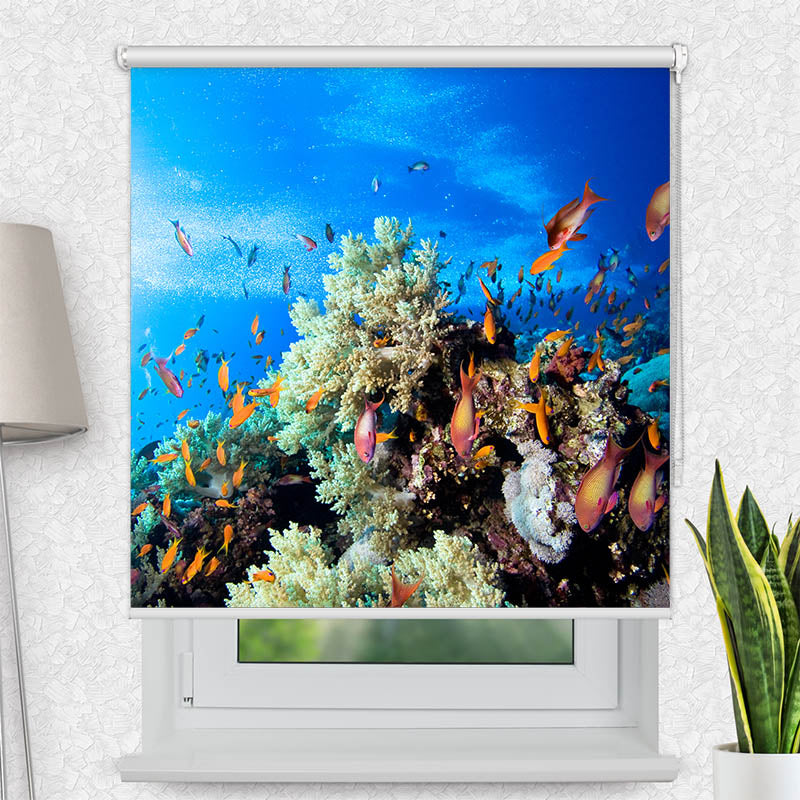 Fotorollo Korallen und Fische