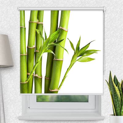 Fotorollo Bambus