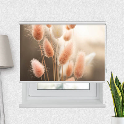 Fotorollo Flauschiges Hasenschwanzgras