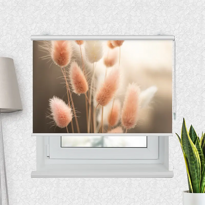 Fotorollo Flauschiges Hasenschwanzgras