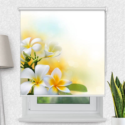 Fotorollo Frangipani