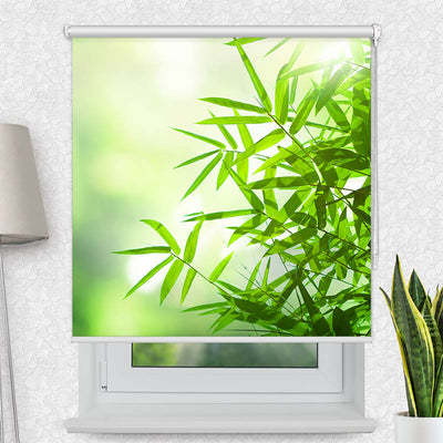 Fotorollo Bambus Strauch