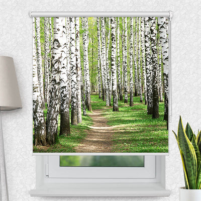 Fotorollo Birkenwald Weg