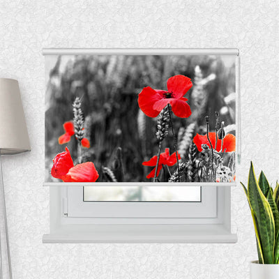 Fotorollo Mohnblumen