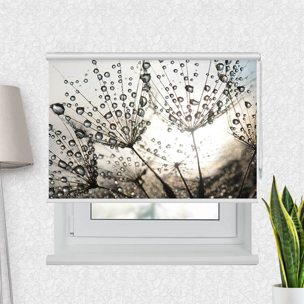 Motivrollo 'Pusteblume Tautropfen' | Bis B 430 x H 440 cm