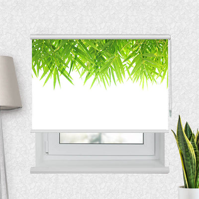 Fotorollo Bambus Blaetter Oben