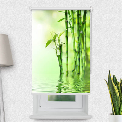 Fotorollo Bambus Wasser