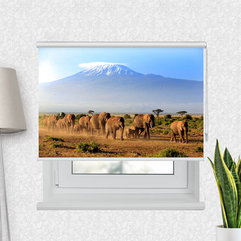 Fotorollo Elefanten am Kilimandscharo