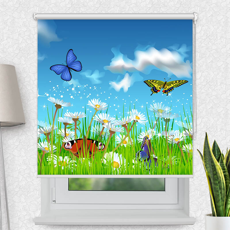 Fotorollo Schmetterlinge Wiese