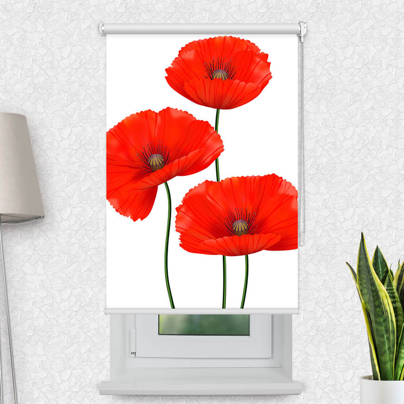 Fotorollo Mohnblumen