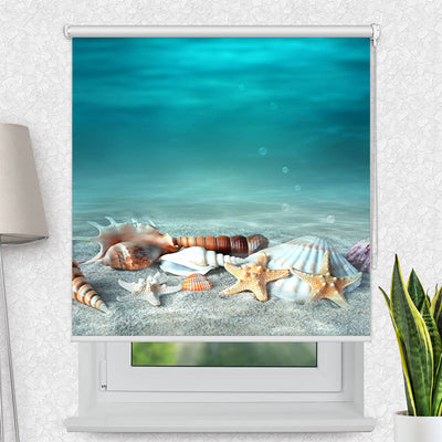 Fotorollo Muschel und Seestern am Strand