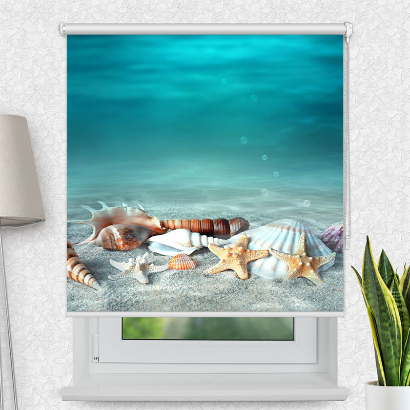 Fotorollo Muschel und Seestern am Strand