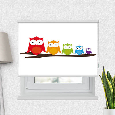 Fotorollo Bunte Eulen