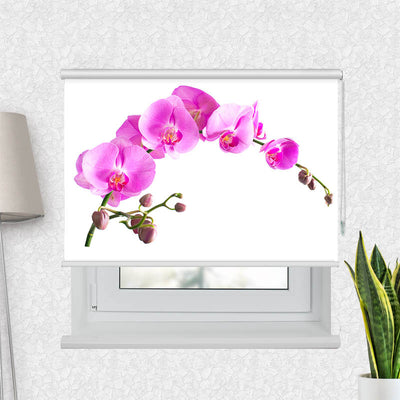 Fotorollo Orchidee