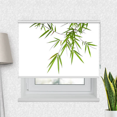 Fotorollo Bambus von Oben