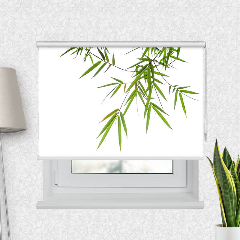 Fotorollo Bambus von Oben