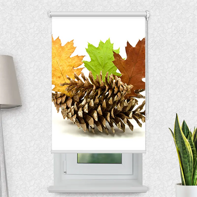 Motivrollo Herbstdekoration | Bis B 430 x H 440 cm