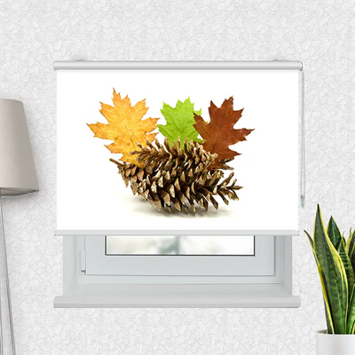 Motivrollo Herbstdekoration | Bis B 430 x H 440 cm