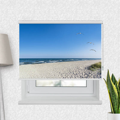 Fotorollo Strand mit Moewen