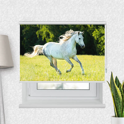 Fotorollo Weisses Pferd im Gras