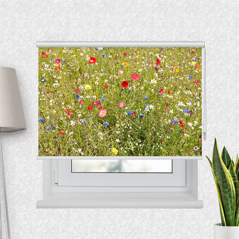 Fotorollo Meer mit Blauem Himmel