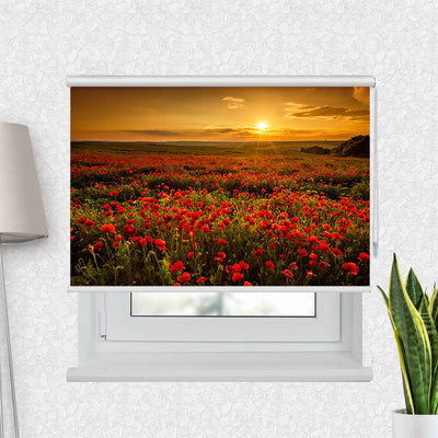 Fotorollo Mohnblumen Sonnenuntergang