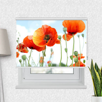 Fotorollo Mohnblumen Panorama