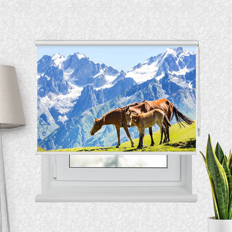 Fotorollo Pferde auf der Alm