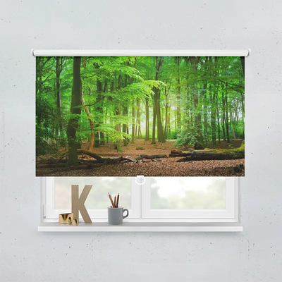 Spring Rollo Motiv Wald Laub