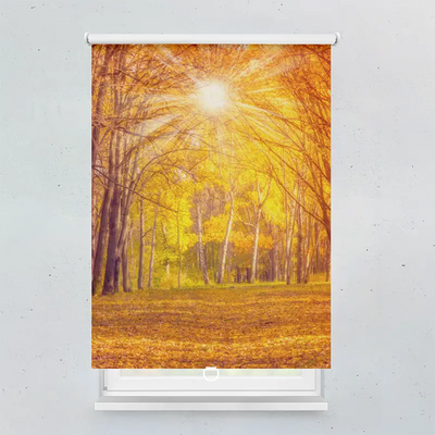 Spring Rollo Motiv Herbstwald