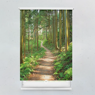 Spring Rollo Motiv Wanderweg Wald