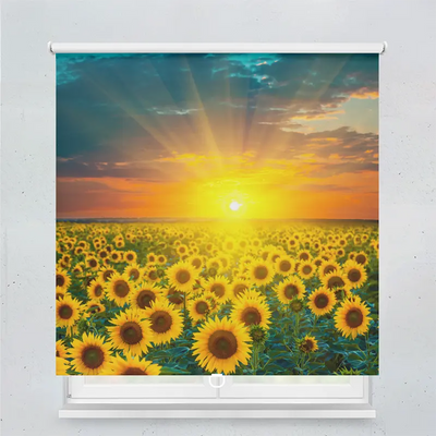 Spring Rollo Motiv Sonnenblumenfeld Im Sonnenuntergang