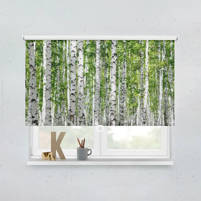 Spring Rollo Motiv Birkenstaemme Wald