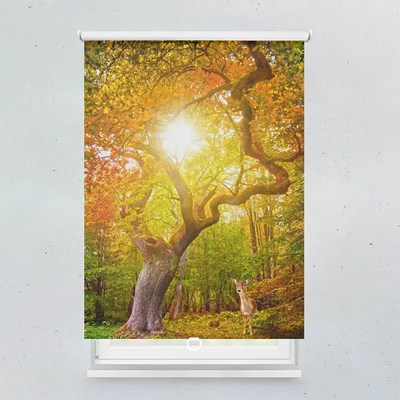 Spring Rollo Motiv Herbst