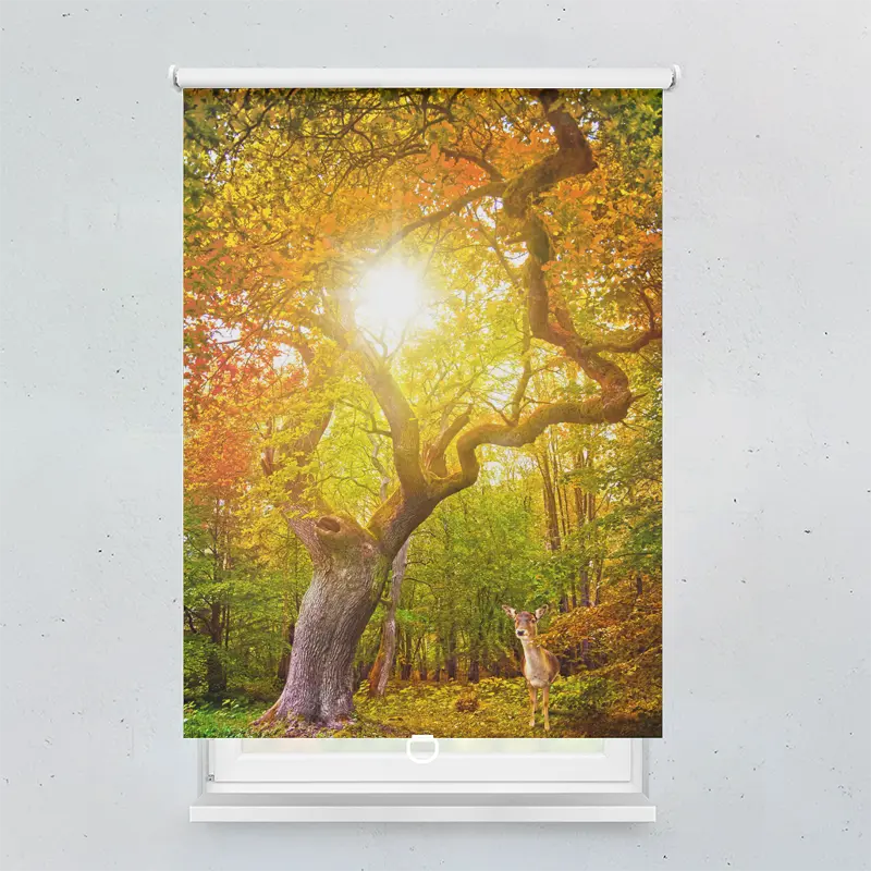 Spring Rollo Motiv Herbst