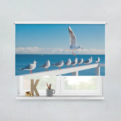 Spring Rollo Motiv Moewen Meer