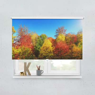 Spring Rollo Motiv Bunter Herbstwald