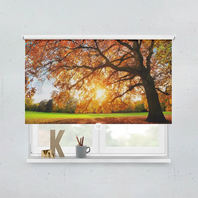 Spring Rollo Motiv Baum Herbst Sonnenstrahlen