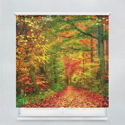 Spring Rollo Motiv Weg Im Herbstwald