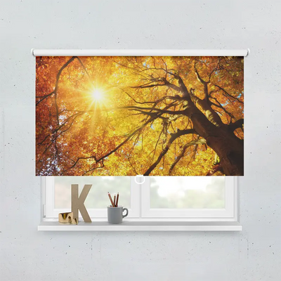 Spring Rollo Motiv Baumkrone Herbst Sonnenschein