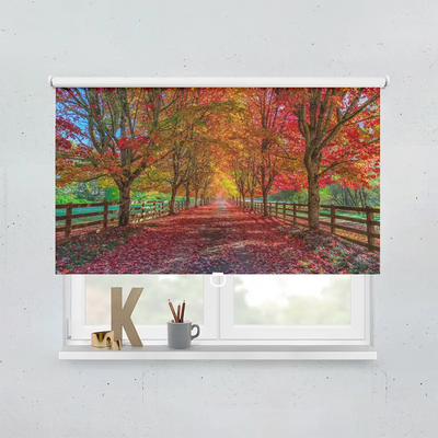 Spring Rollo Motiv Herbst Allee