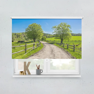 Spring Rollo Motiv Landschaft Gras Kuehe