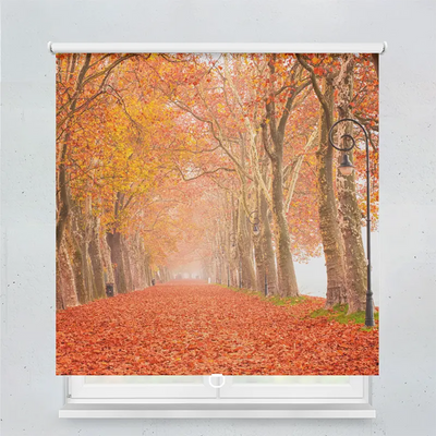 Spring Rollo Motiv Herbstsee