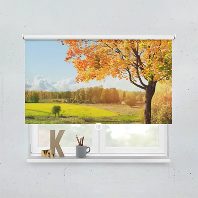 Spring Rollo Motiv Landschaft Im Herbst