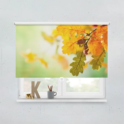 Spring Rollo Motiv Eichel Herbst