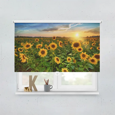 Spring Rollo Motiv Sonnenblumenfeld Sonnenuntergang