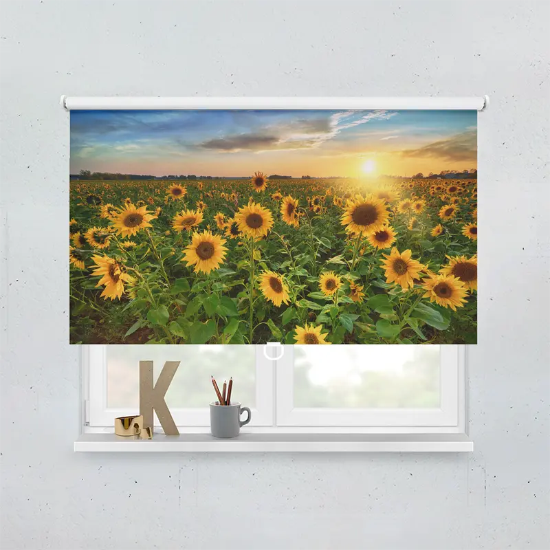 Spring Rollo Motiv Sonnenblumenfeld Sonnenuntergang