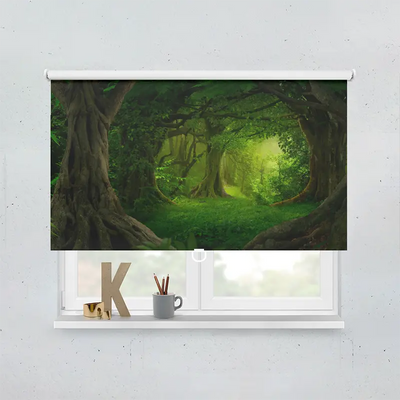 Spring Rollo Motiv Urwald Panorama