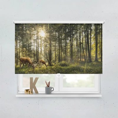 Spring Rollo Motiv Hirsch Reh Wald